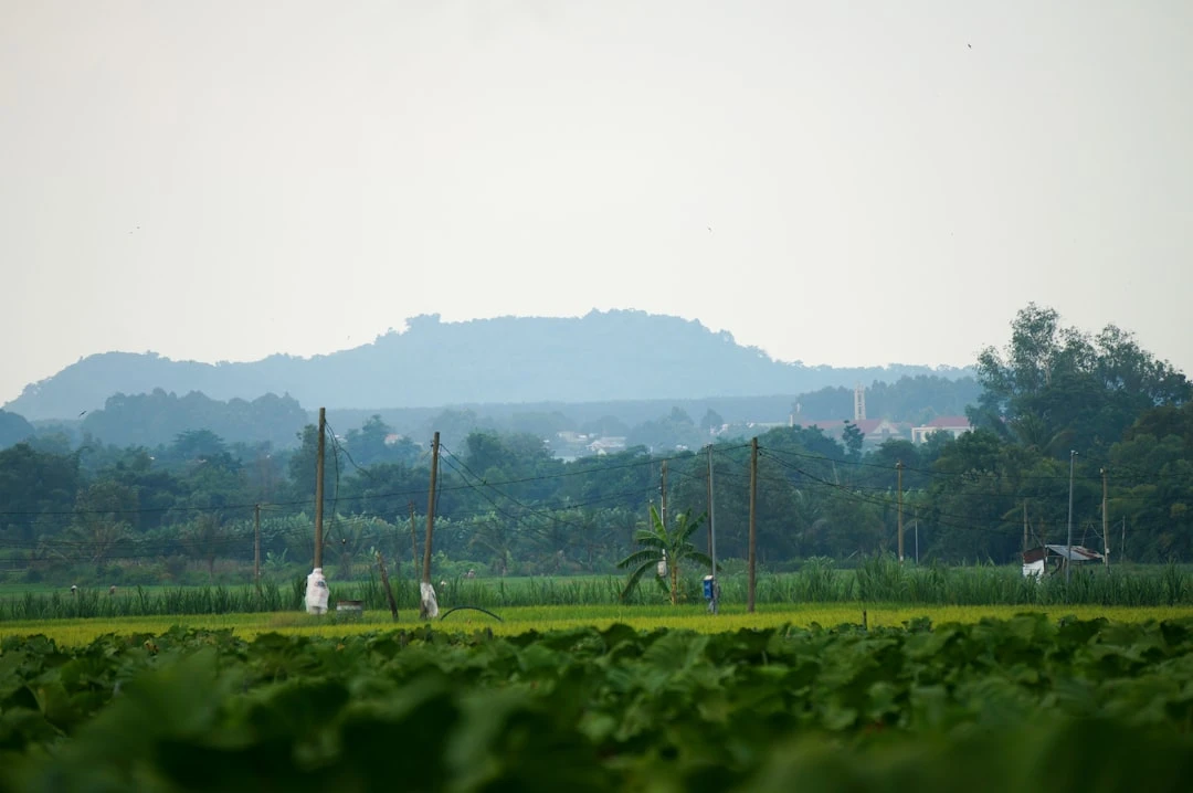 Adama Traoré sức mạnh qua người