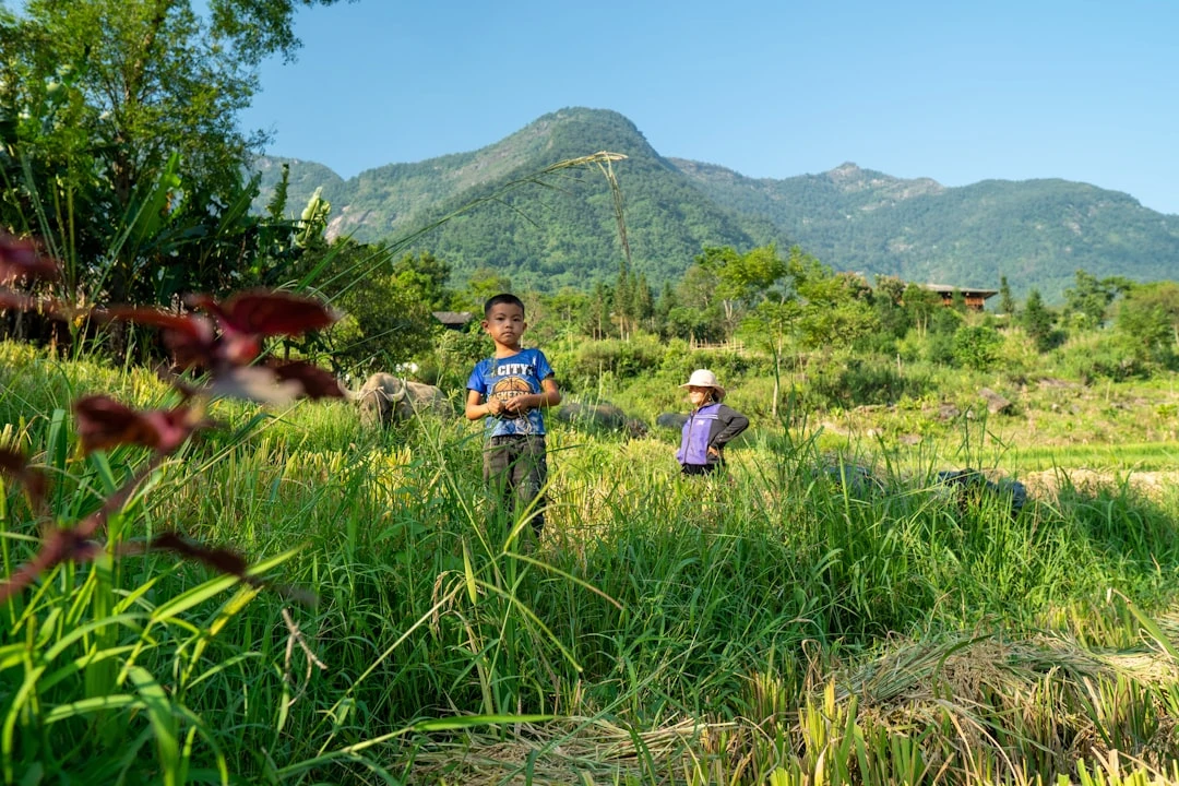 Cầu thủ trẻ chơi bóng trên sân cỏ tại Việt Nam
