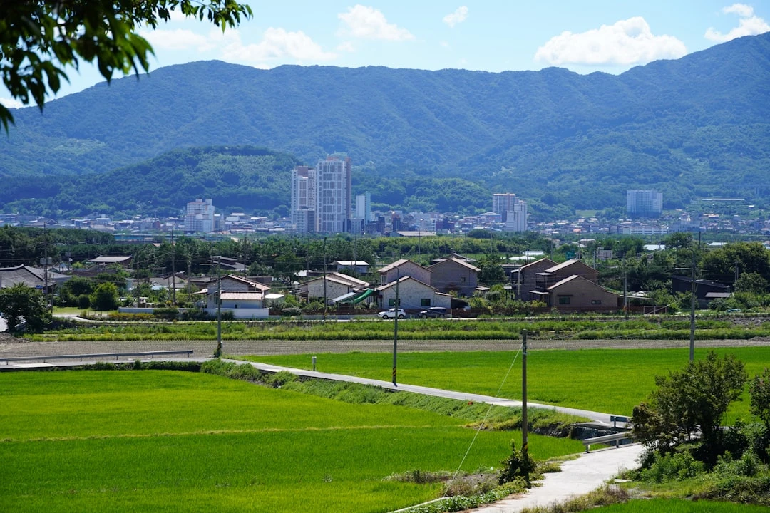 Cầu thủ trẻ Hàn Quốc tập luyện trên sân cỏ xanh