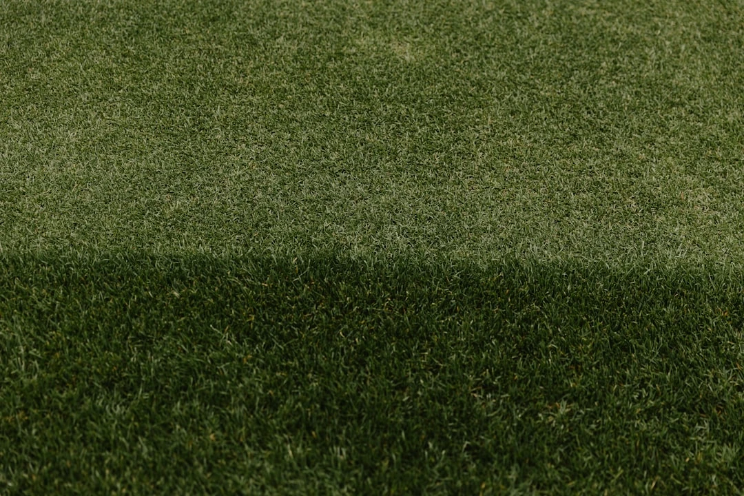 Chiến thuật tạt cánh trong FIFA Online 4