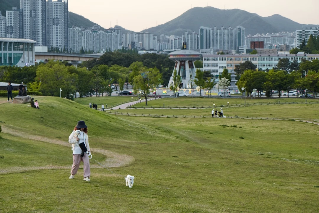 Đội tuyển bóng đá quốc gia Hàn Quốc đoàn kết trên sân