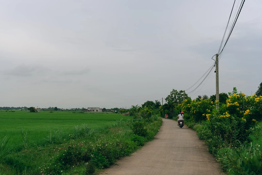 kham-pha-top-10-cau-thu-re-bong-hay-nhat-fo4-theo-goc-nhin-chuyen-gia