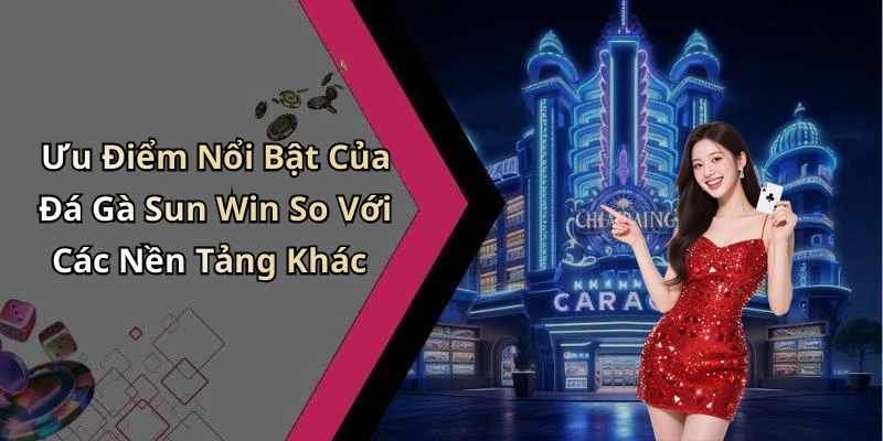 Ưu Điểm Nổi Bật Của Đá Gà Sun Win So Với Các Nền Tảng Khác