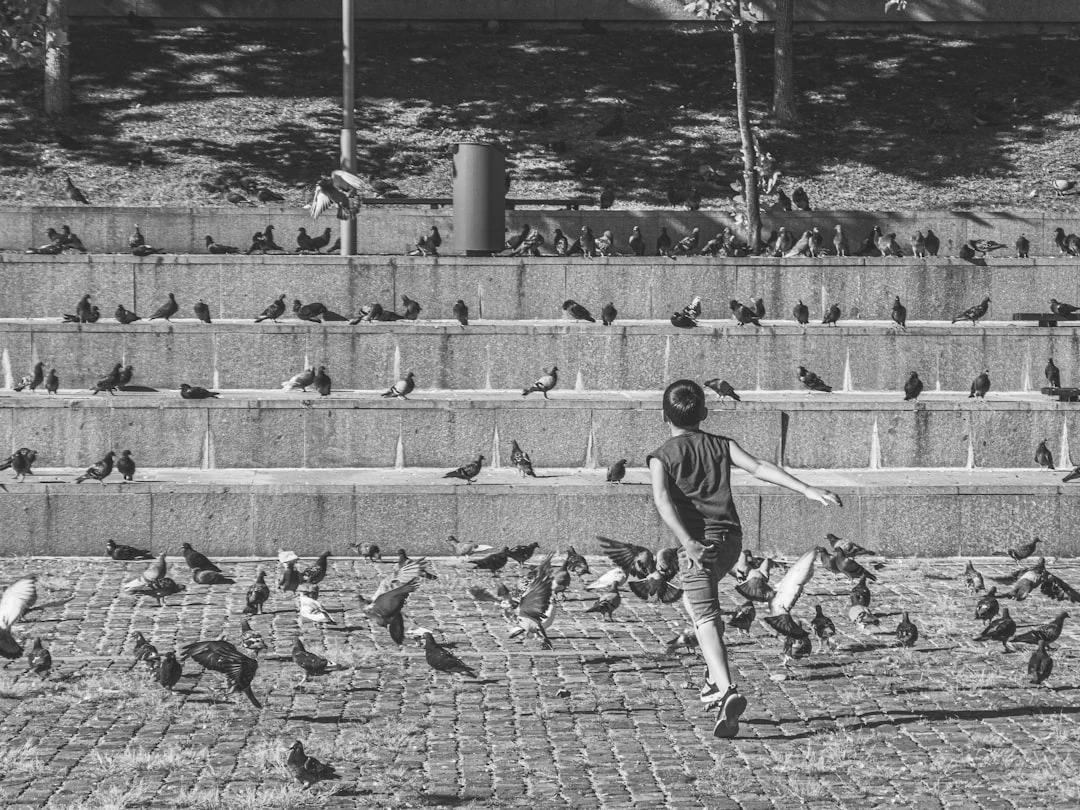 Hình ảnh huyền thoại bóng đá Pelé và Maradona