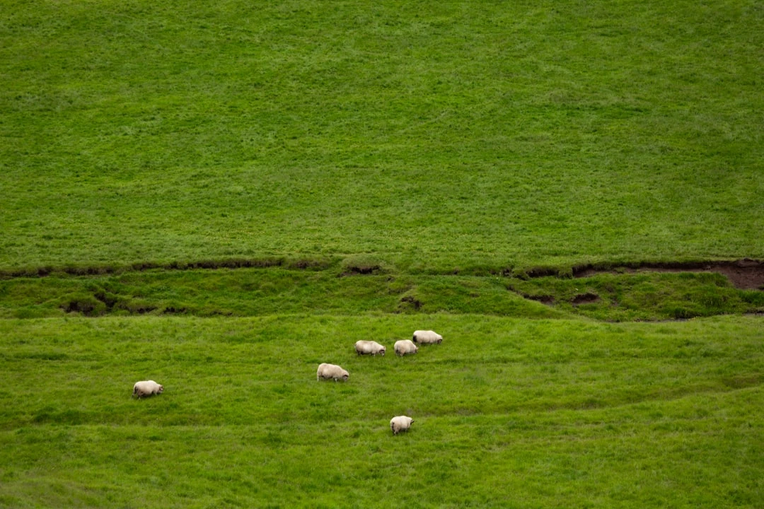 Hình ảnh trận đấu tại UEFA Champions League