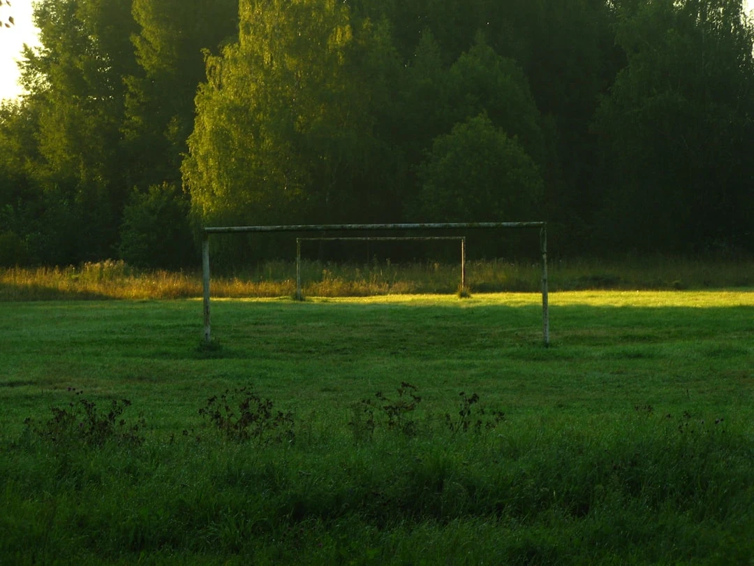 Kỹ năng chơi bóng của Rin Itoshi và Shoei Barou