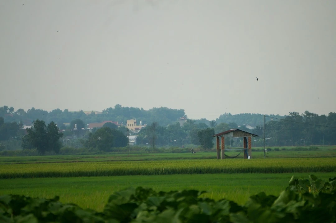 top-cau-thu-co-nhieu-kien-tao-nhat-duoi-goc-nhin-chuyen-gia