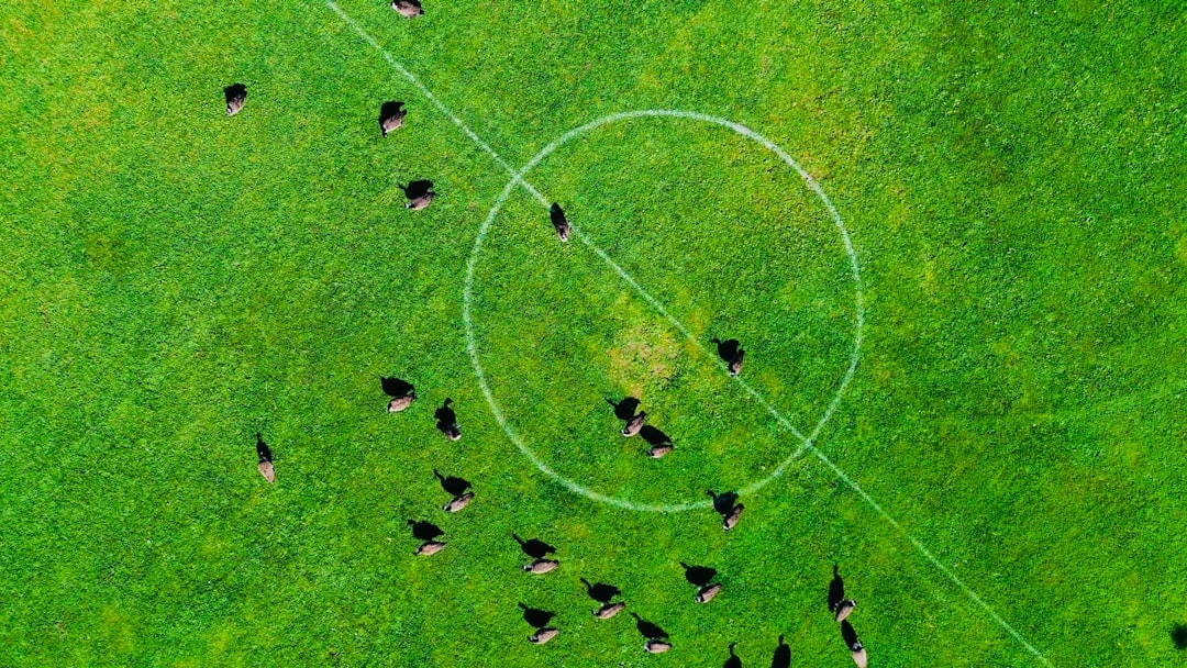 Xu hướng hiện tại của các cầu thủ kiến tạo Ngoại hạng Anh